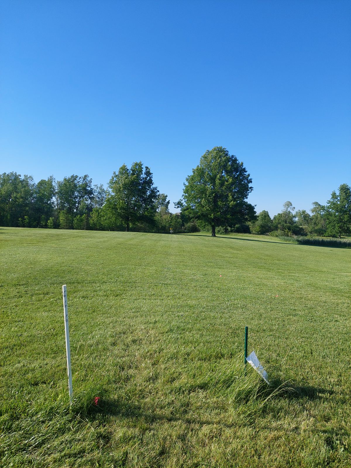 Hole 6 Tee pad