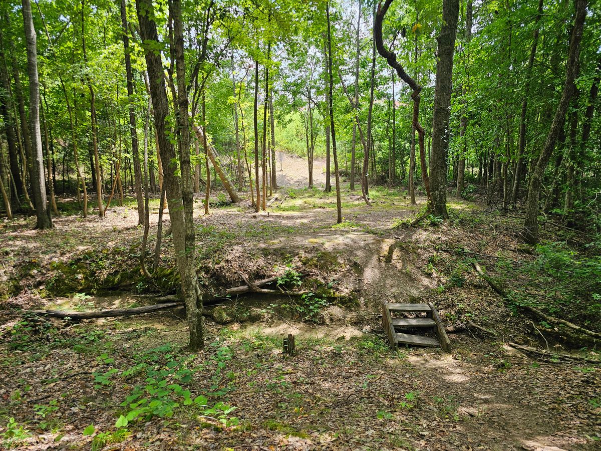 Hole 1's fairway