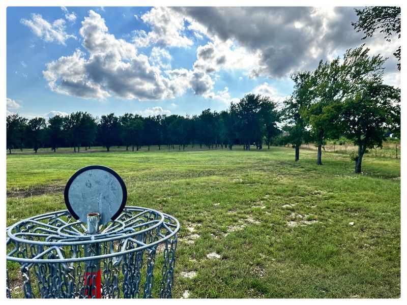 5 basket looking back at tees