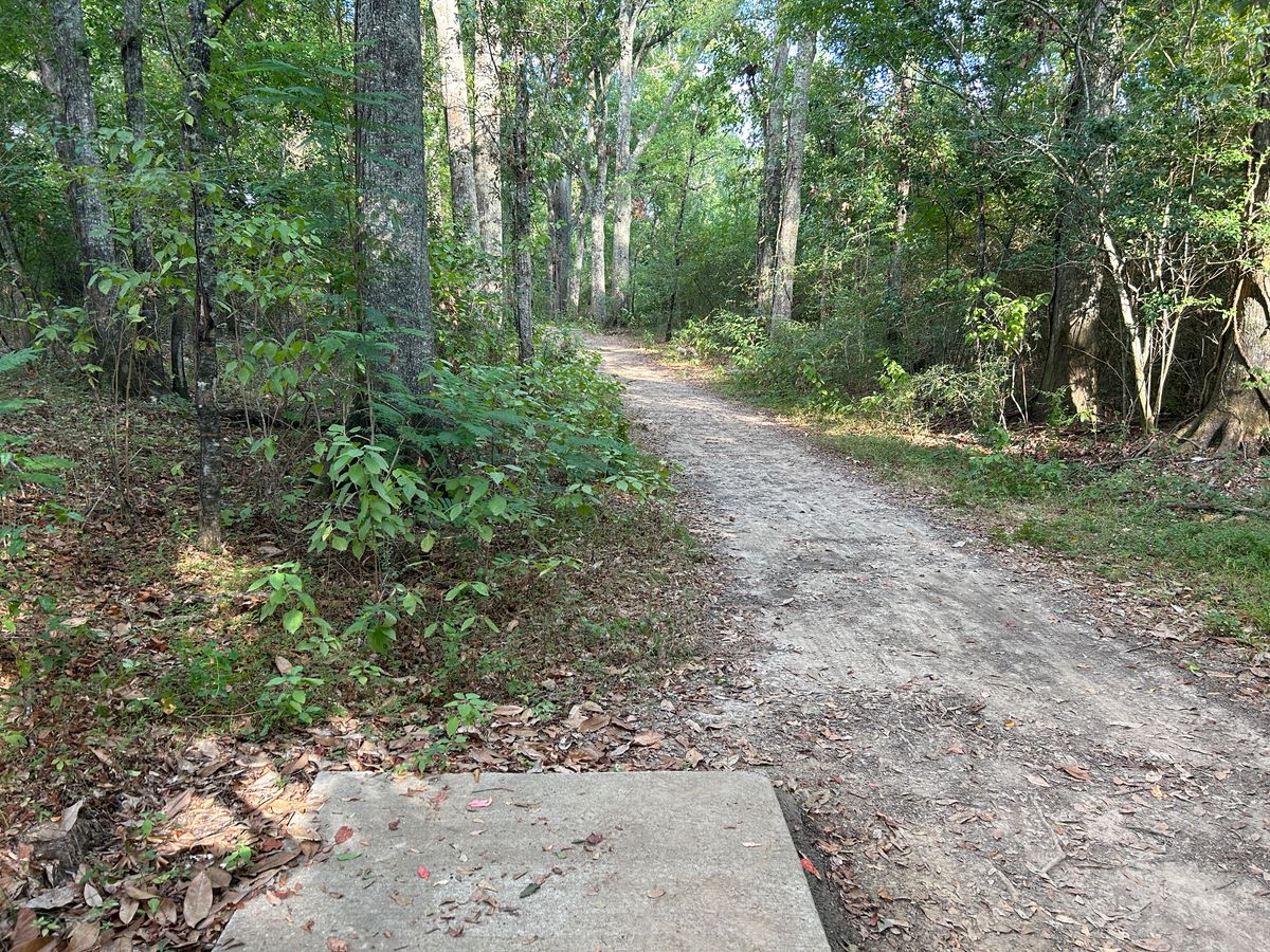 Hole 5 Fairway (Red)