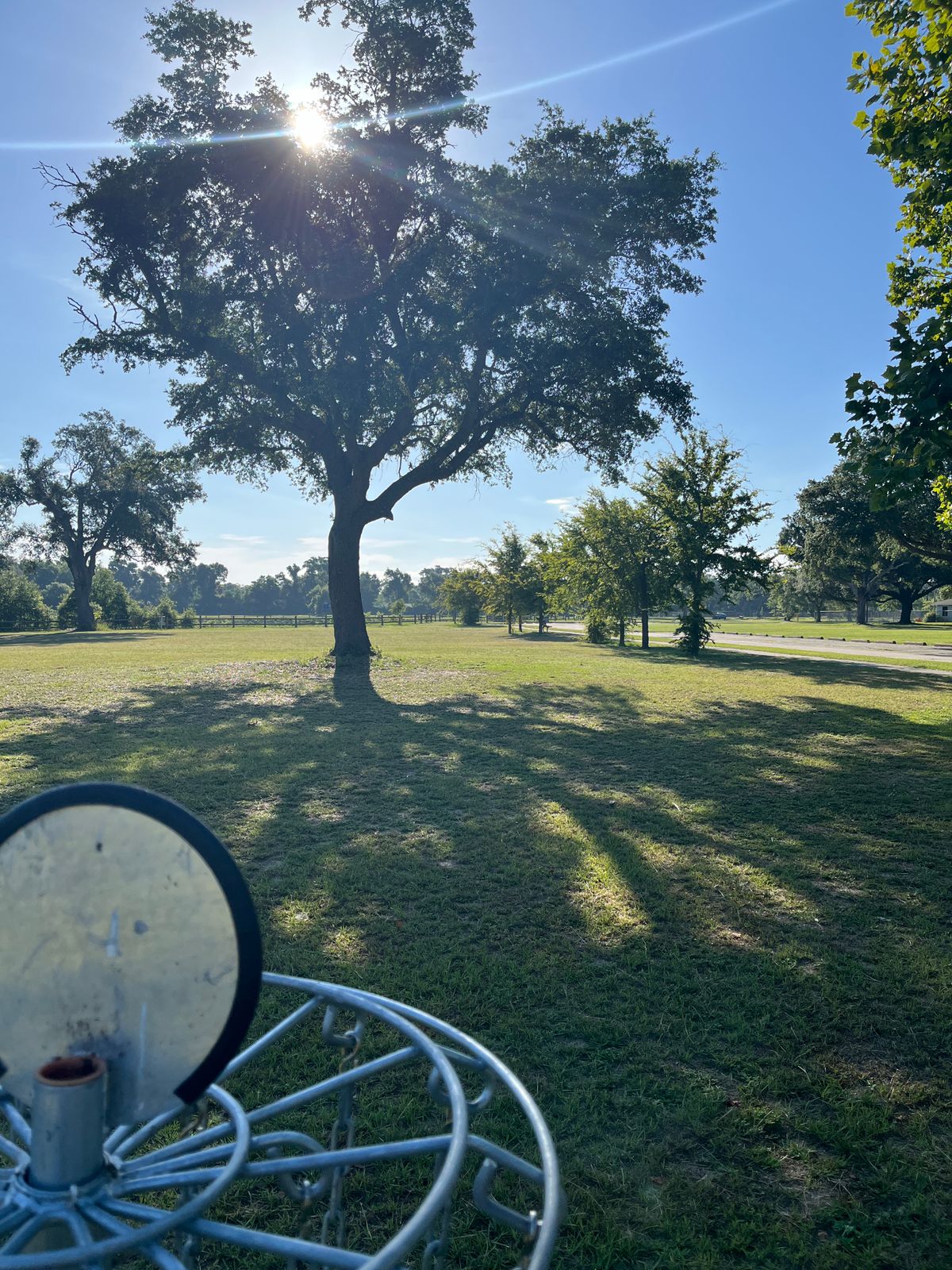 Hole 8 Basket to Tee