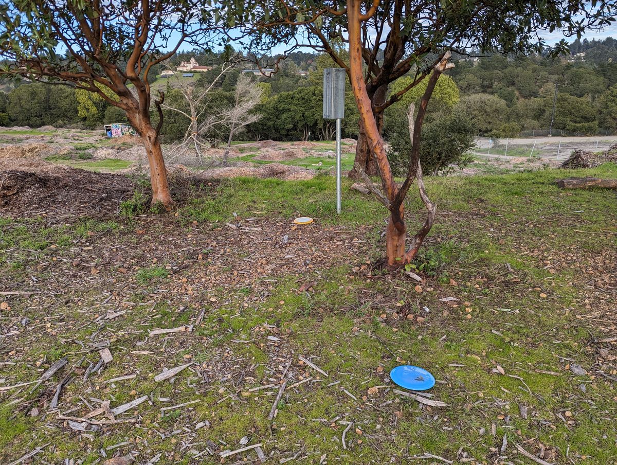 Some greens are well guarded