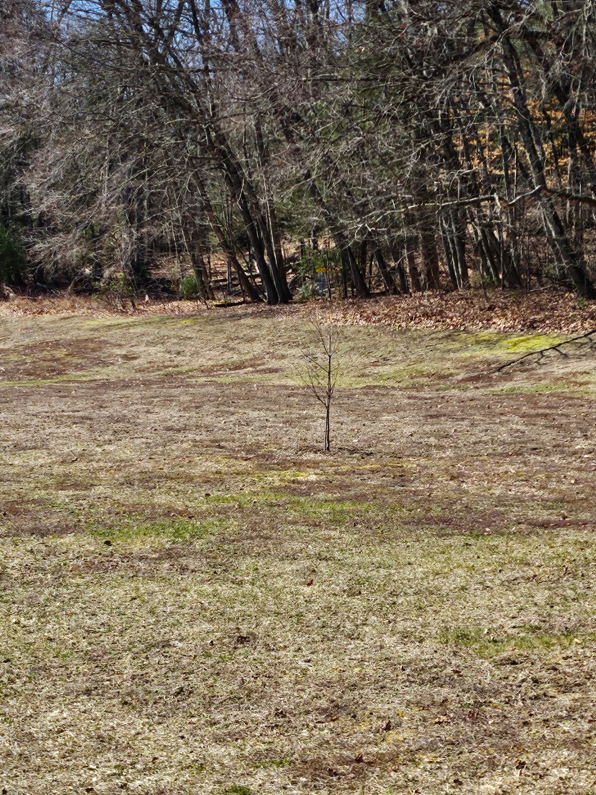 9th Tee