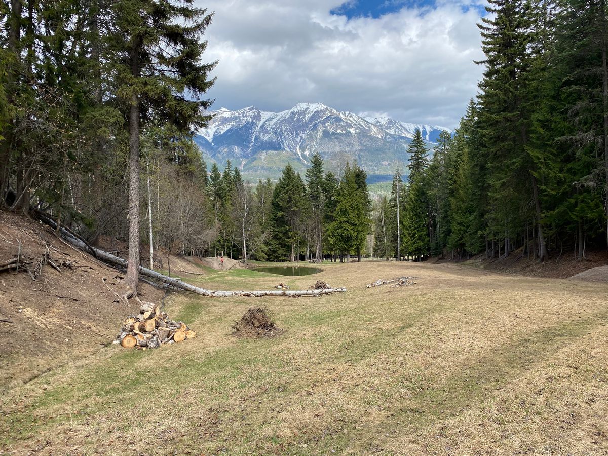 The view from Hole 12