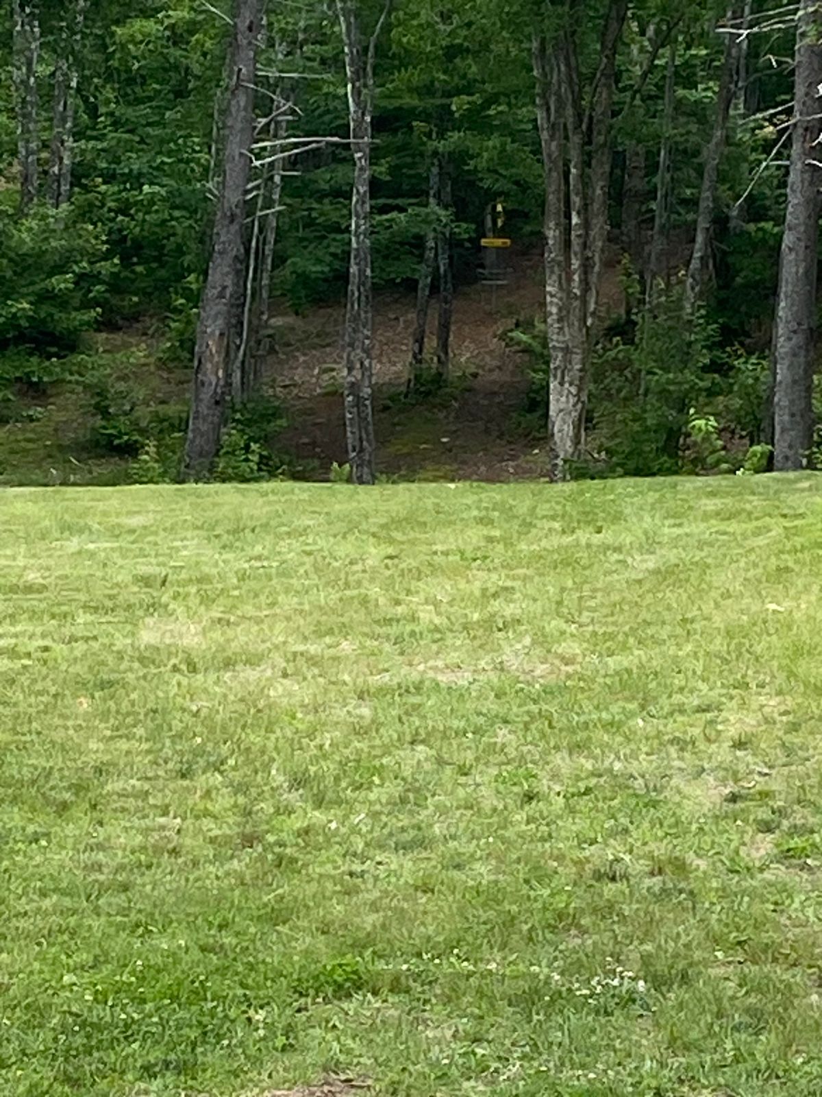 It is not closer than it looks. It is that far. 😁