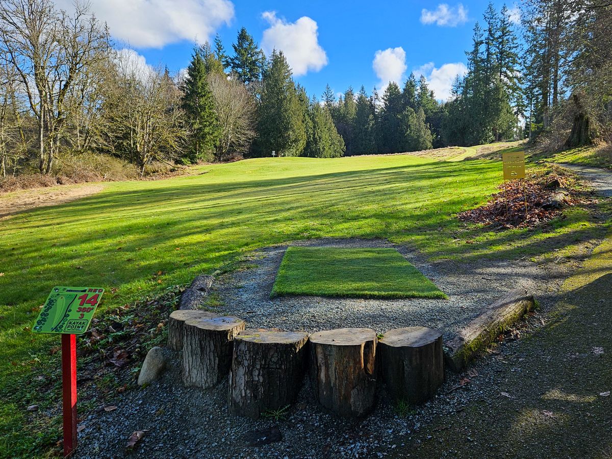 Hole 14 tee pad