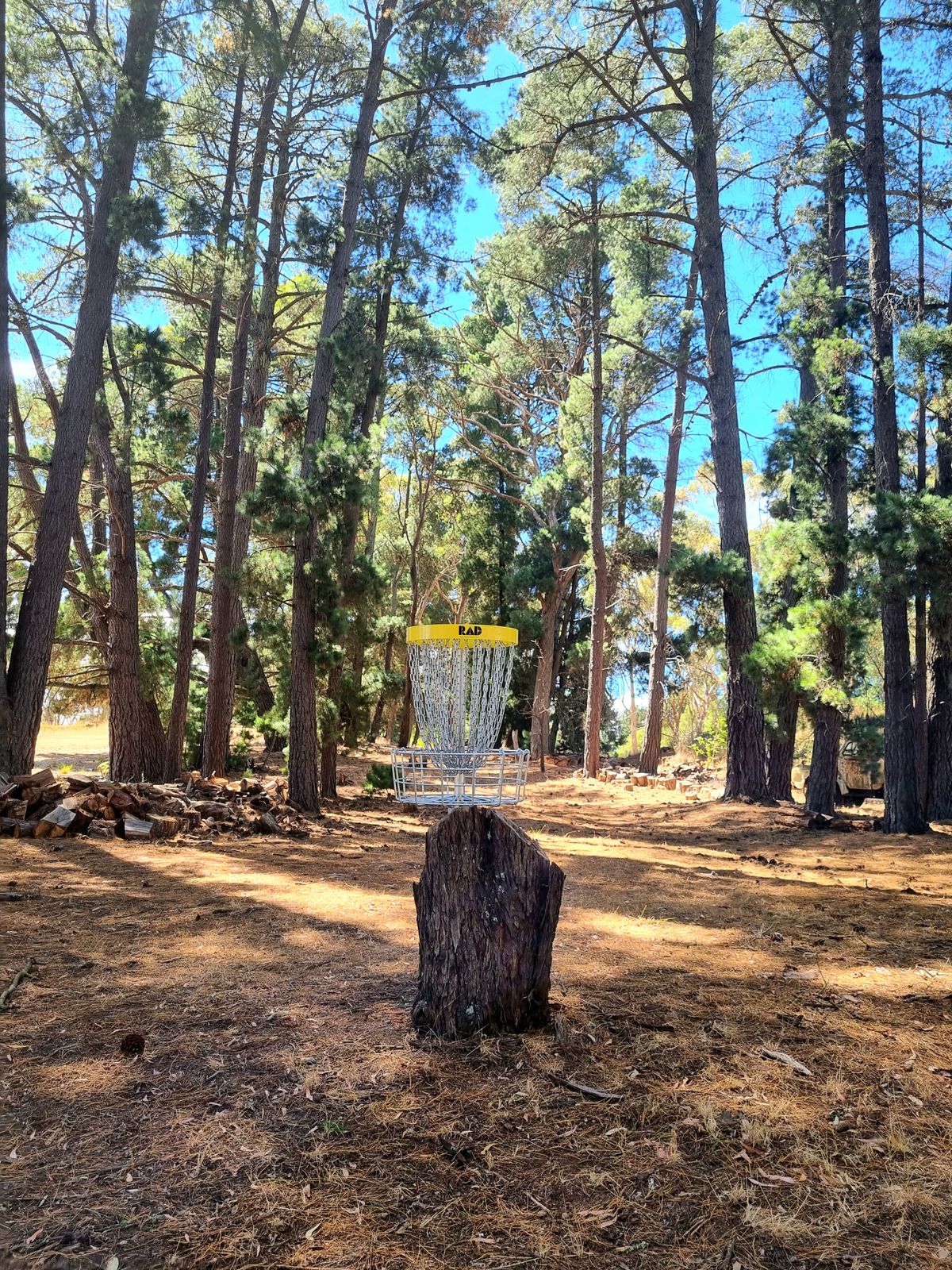 The picturesque hole 2, looking up towards the fairway