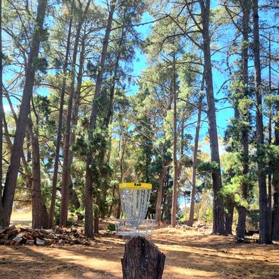 The picturesque hole 2, looking up towards the fairway