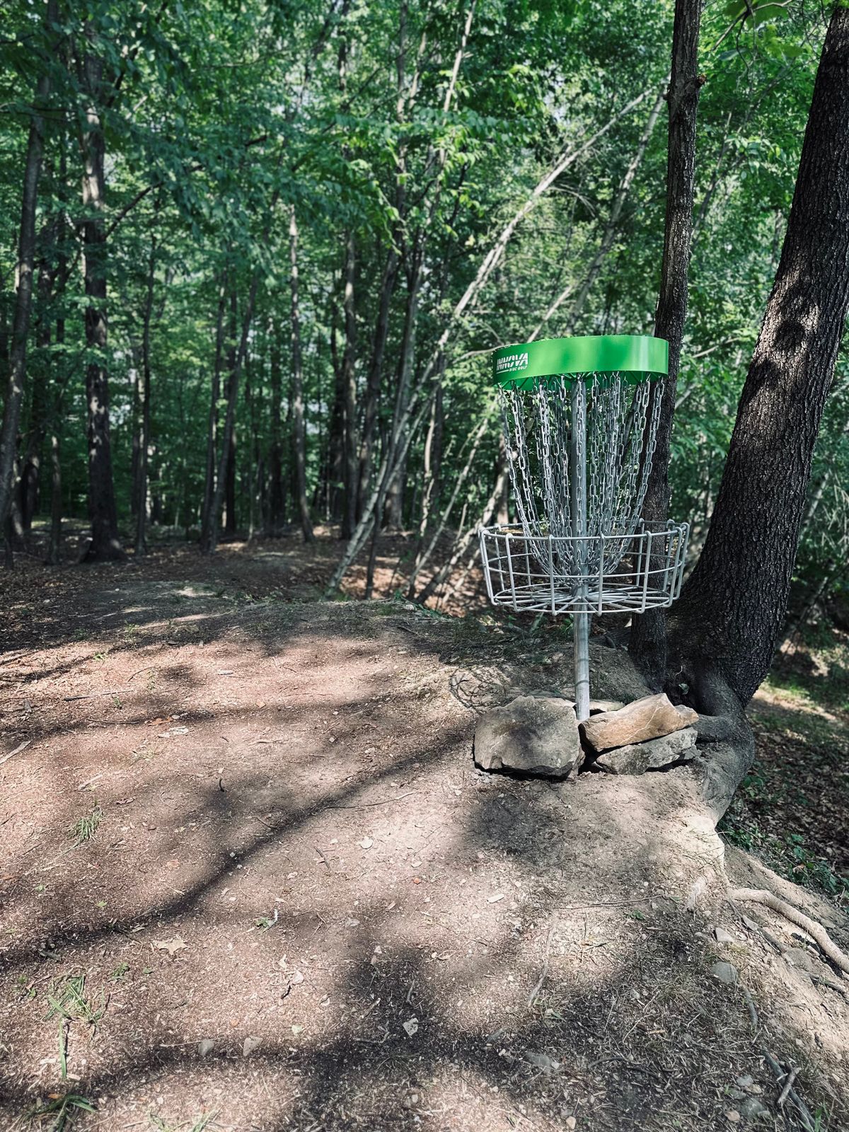 Looking back at hole 4 basket