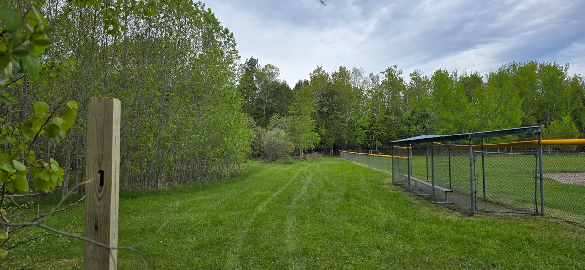 Hole 1 tee