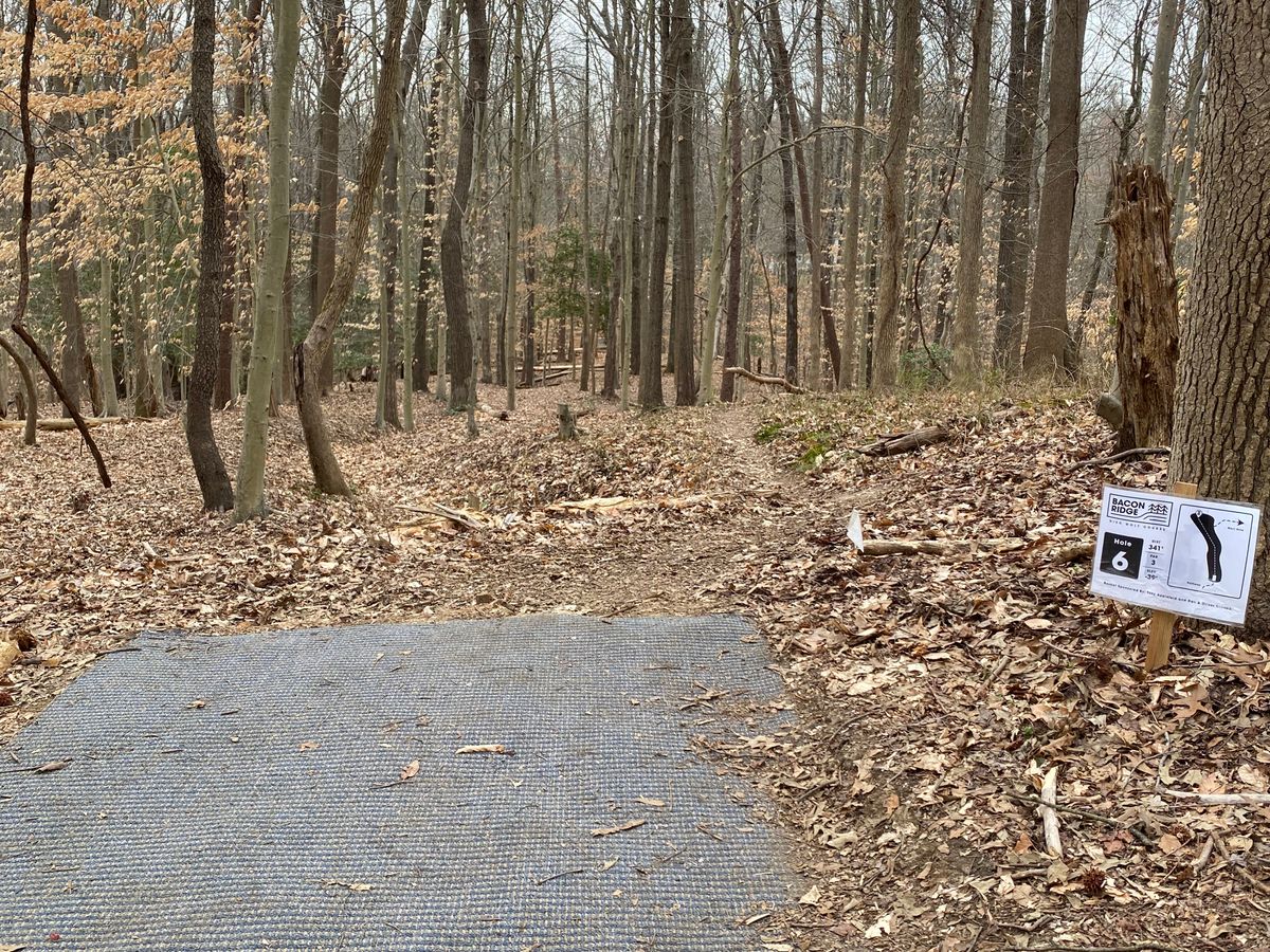 Hole 6 Teepad