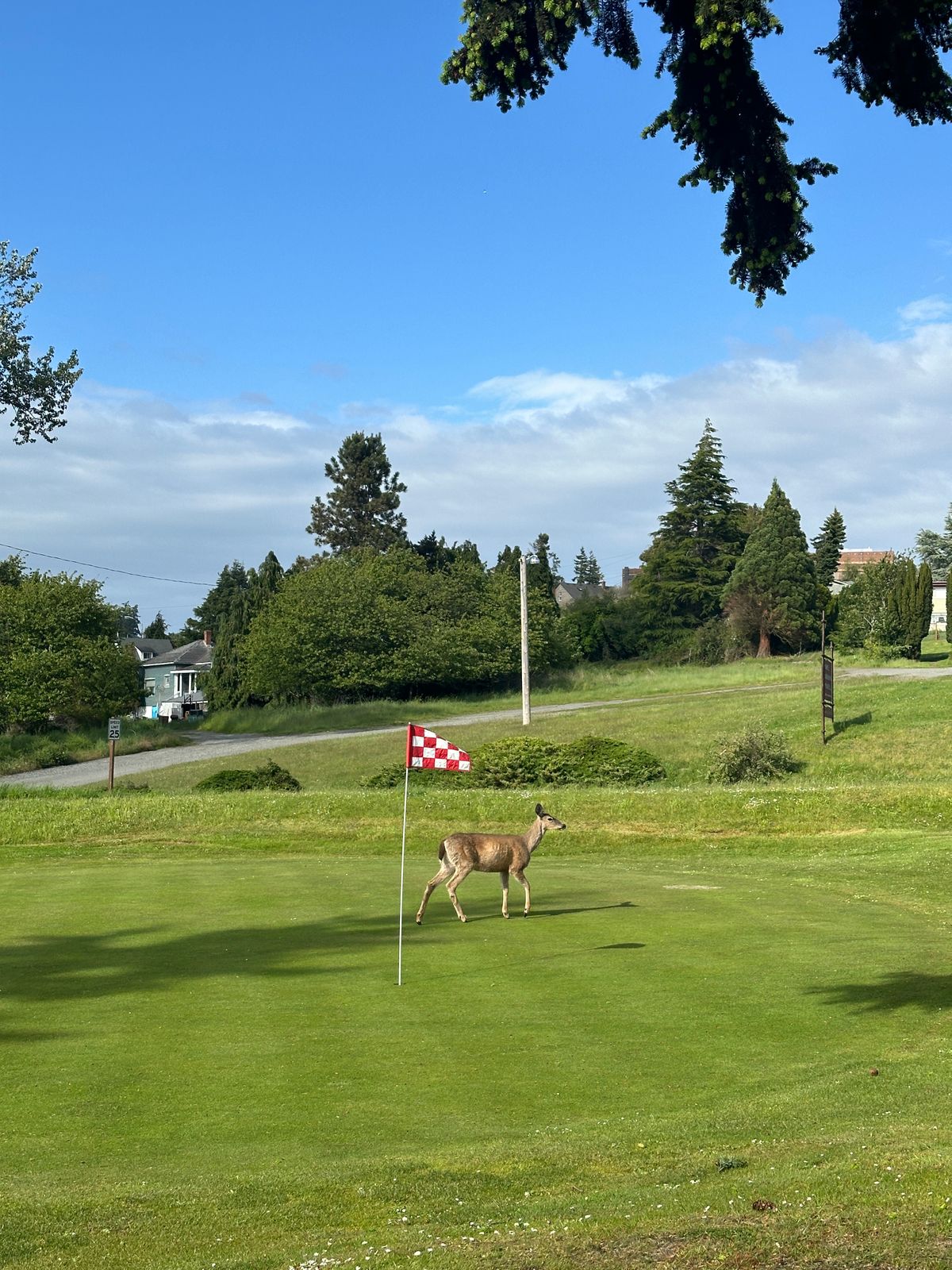 Camas Prairie Disc Golf