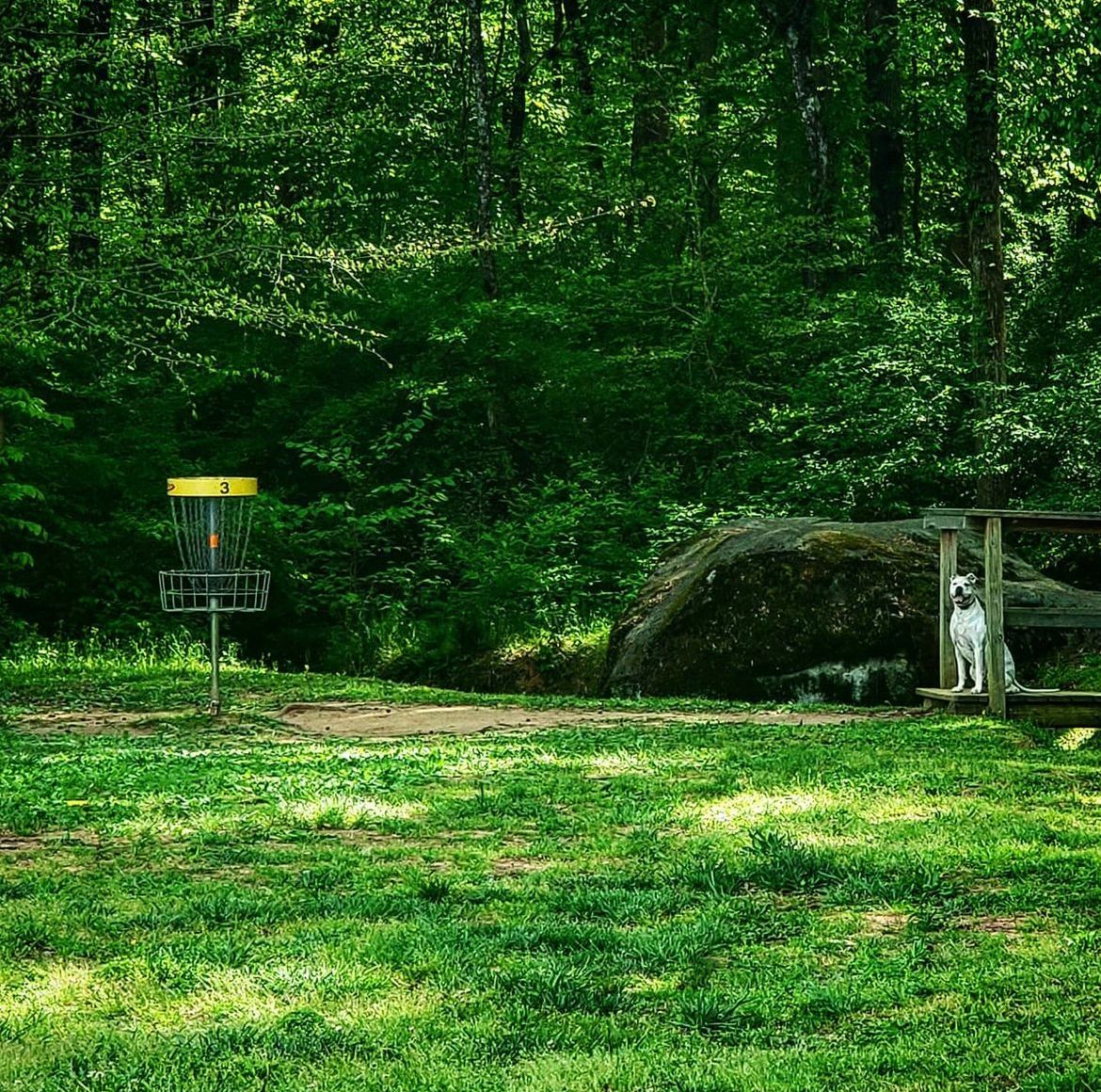 Hole #3 fairway & green.
