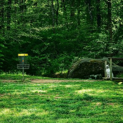 Hole #3 fairway & green.