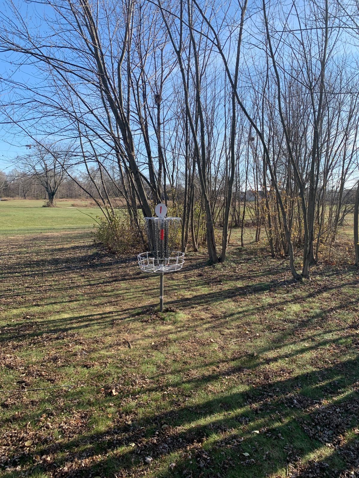 Chains for hole 1