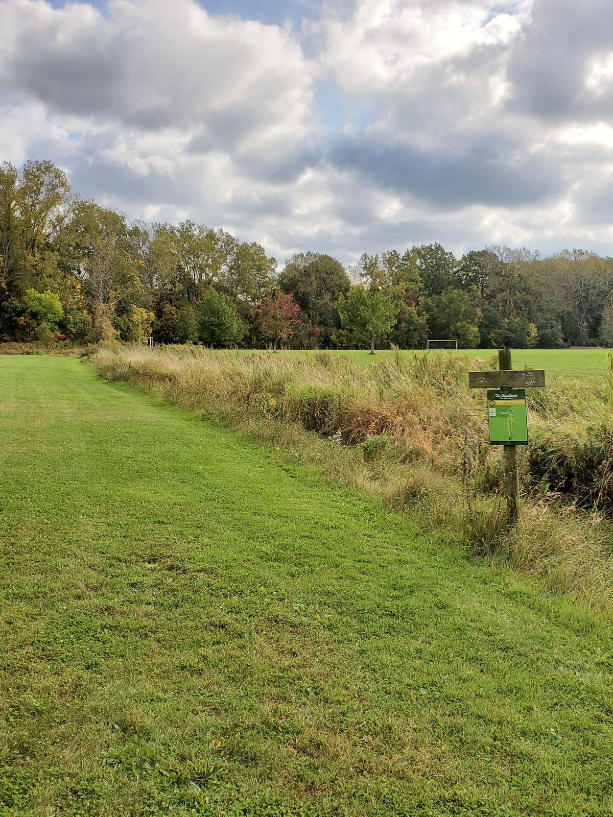 Tee 2