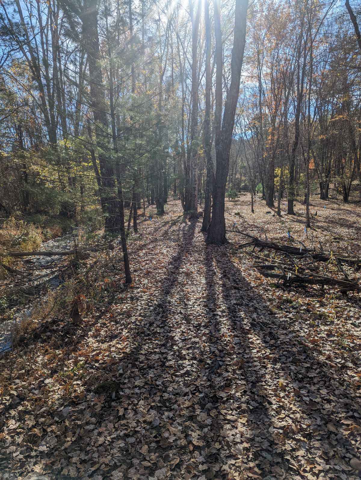 Hole #4