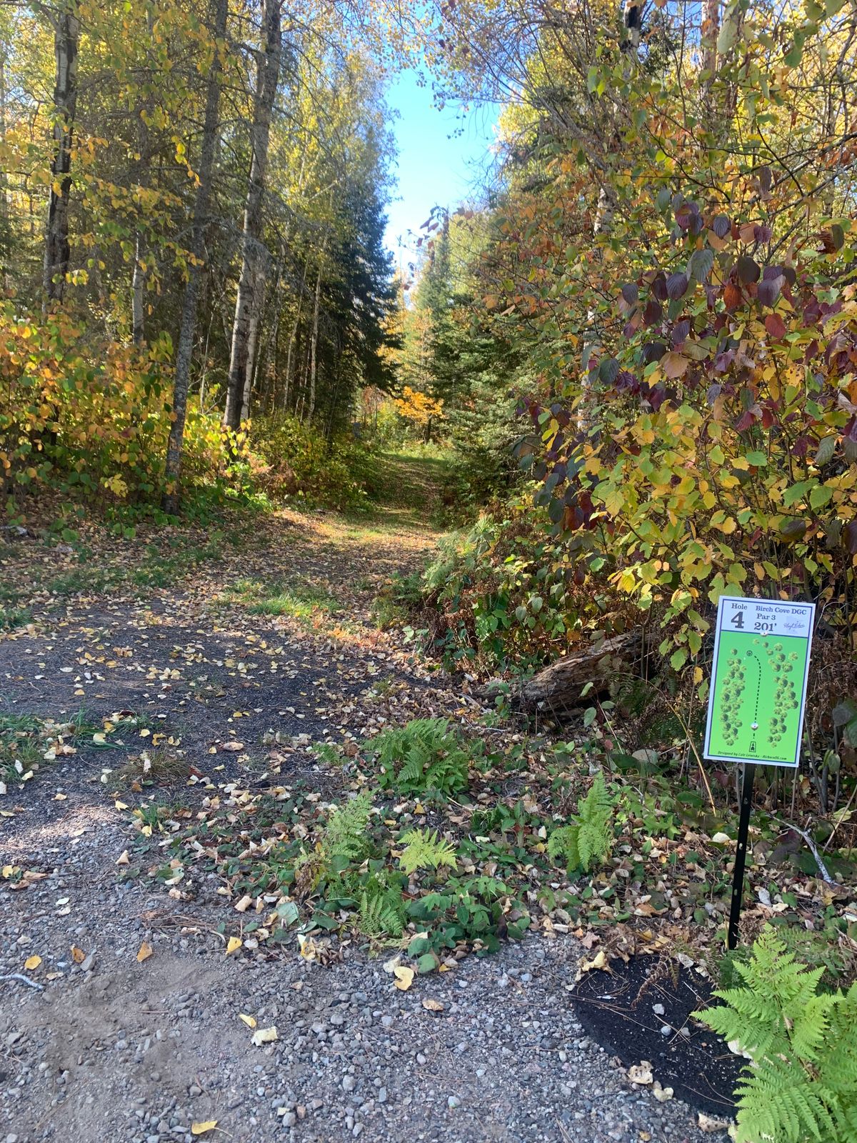 Hole 4 tee pad looking towards the pin.