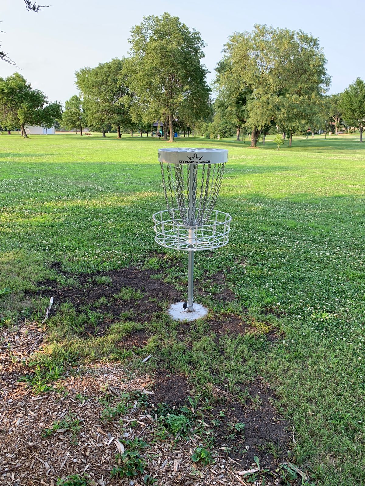 Hole 5 basket