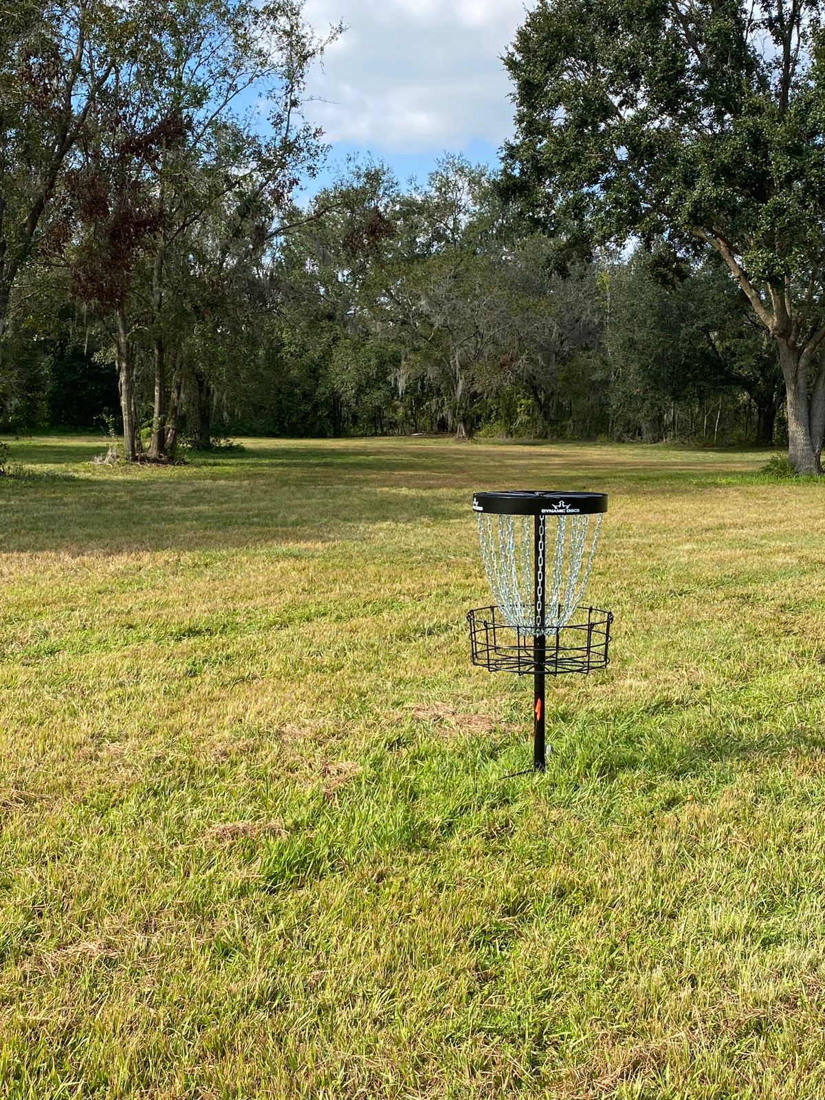 Hole 5 looking back towards tee pad.