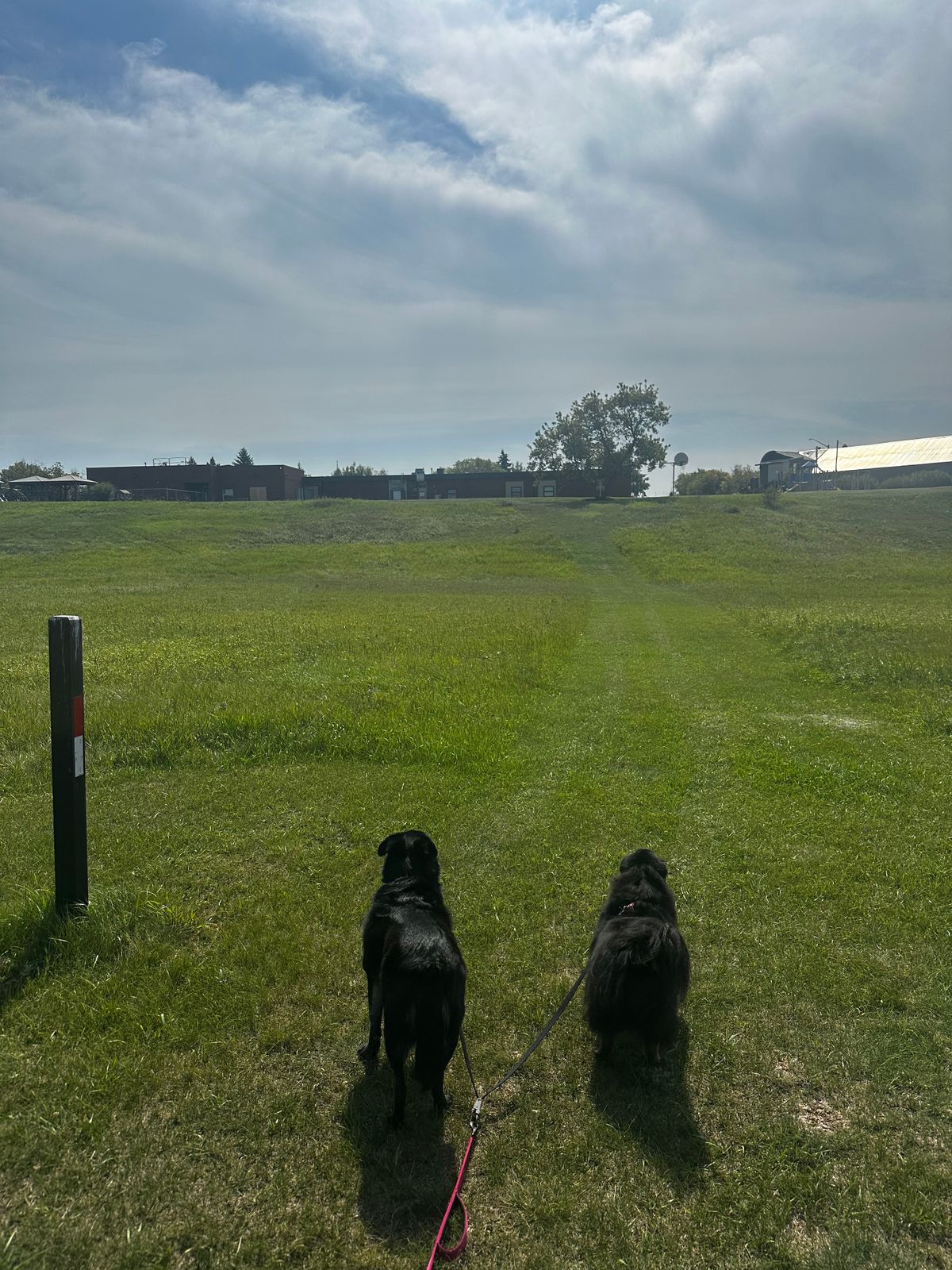 Hole 9