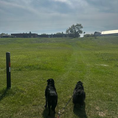 Hole 9