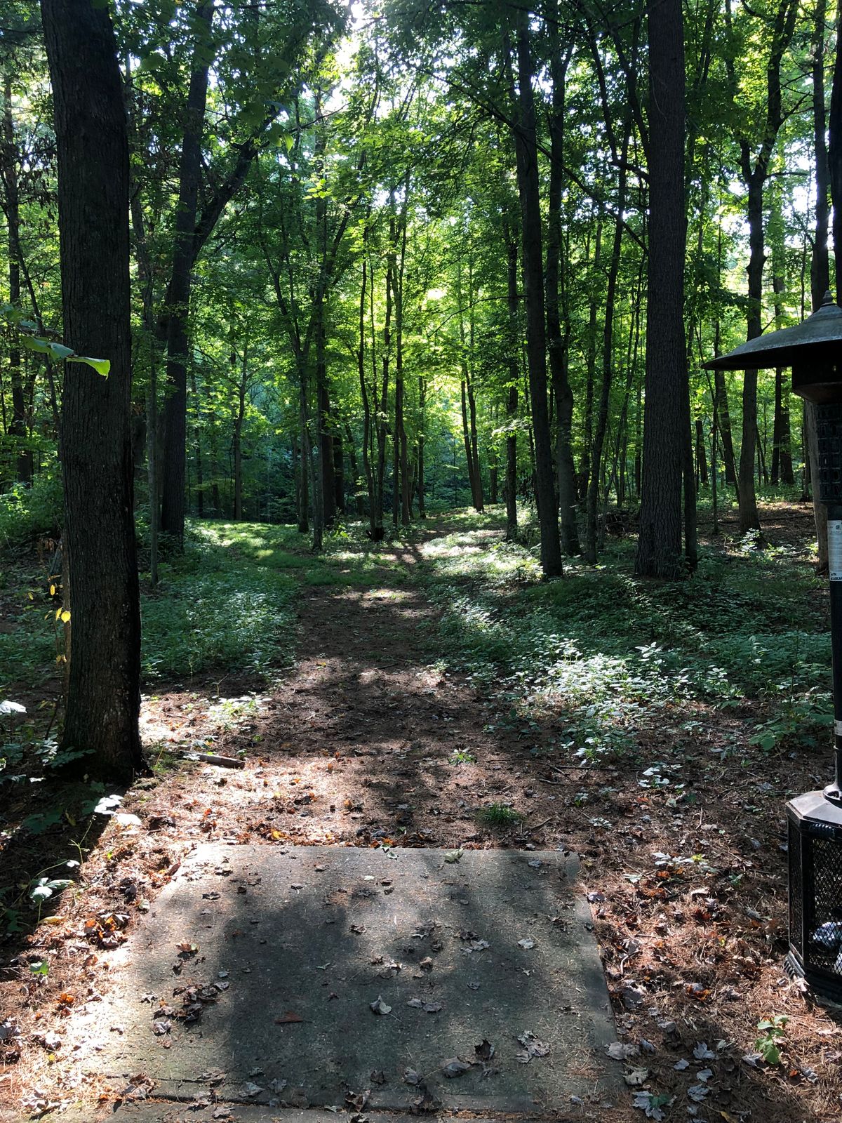 Hole 5 Tee