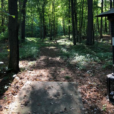 Hole 5 Tee