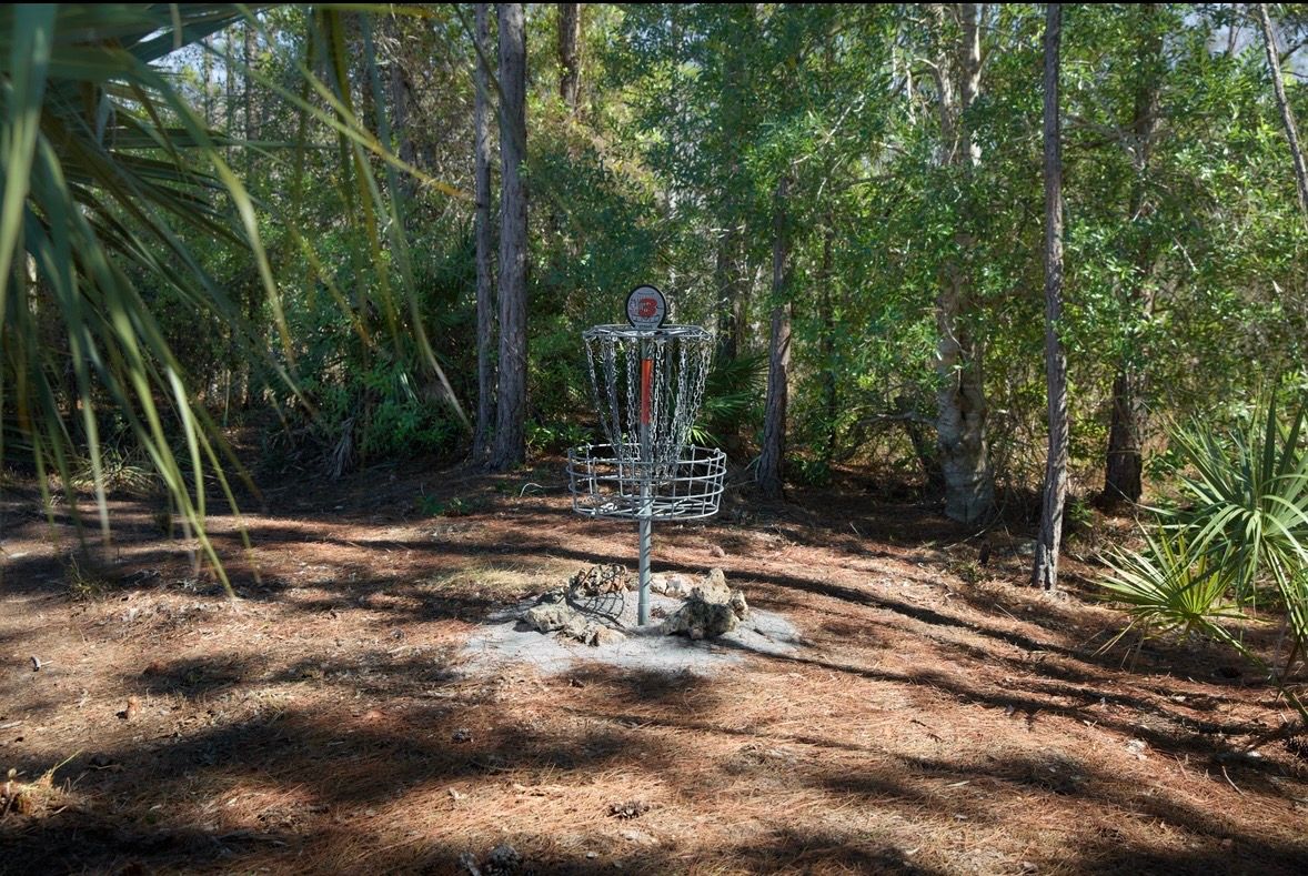 Hole 3 Basket