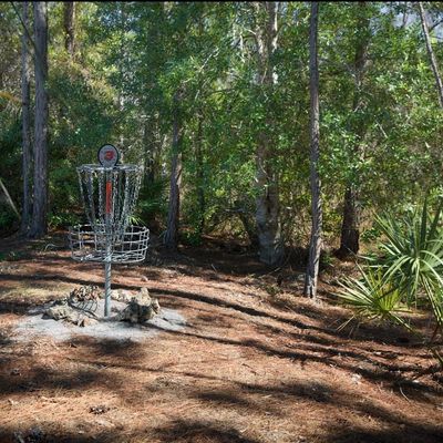 Hole 3 Basket