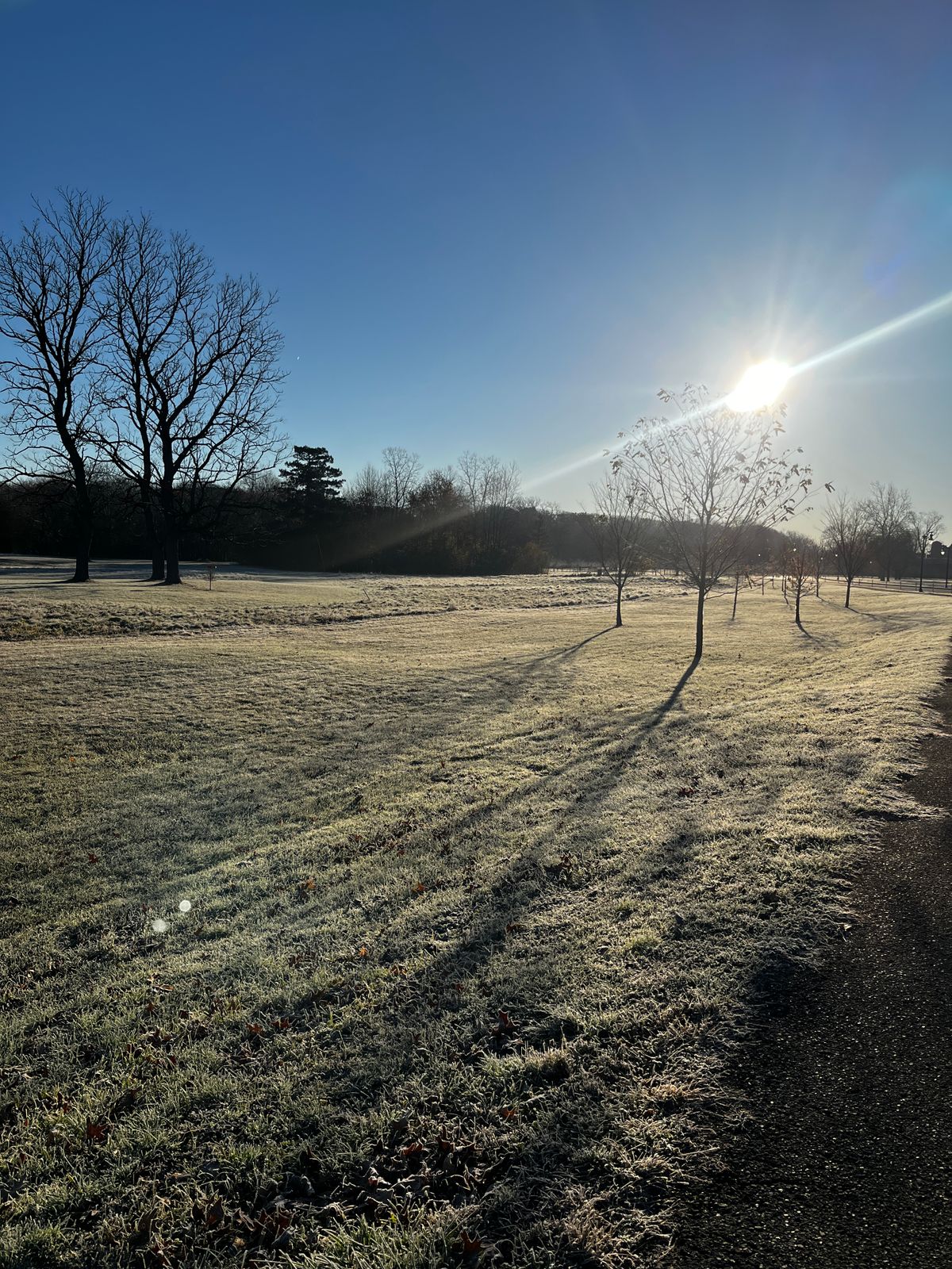 November frost @ 32 degrees (by the 17th basket)