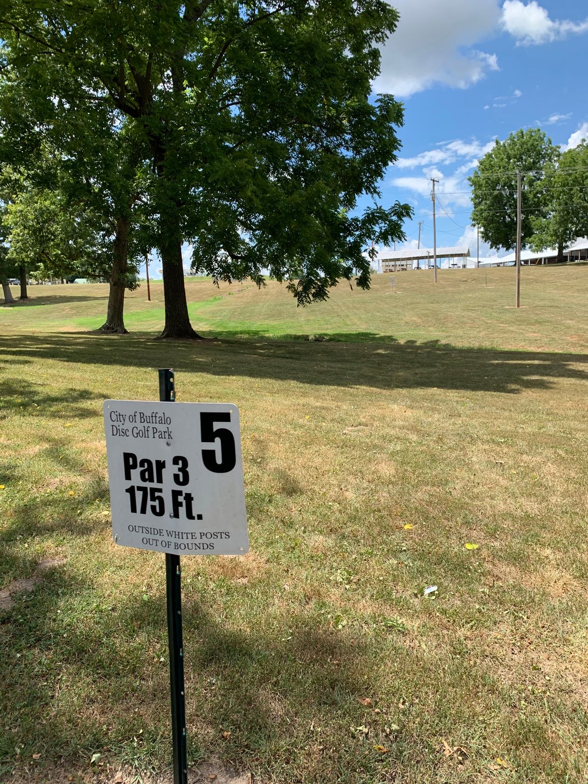 Tee box #5
