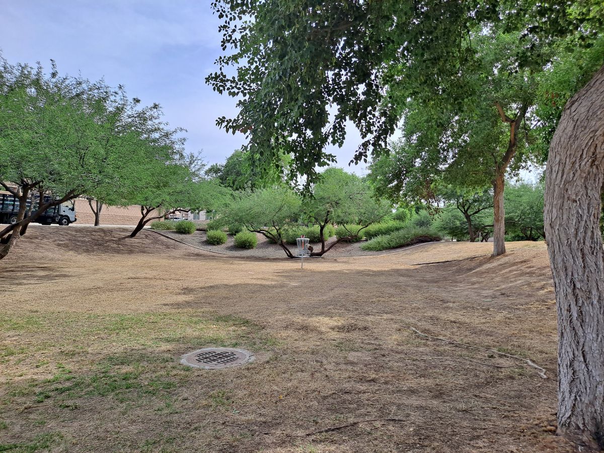 Hole 2 basket
