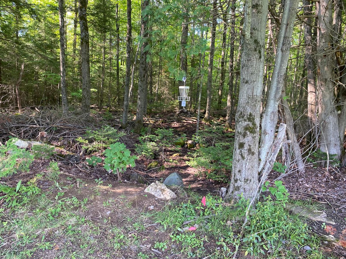Wooded approach