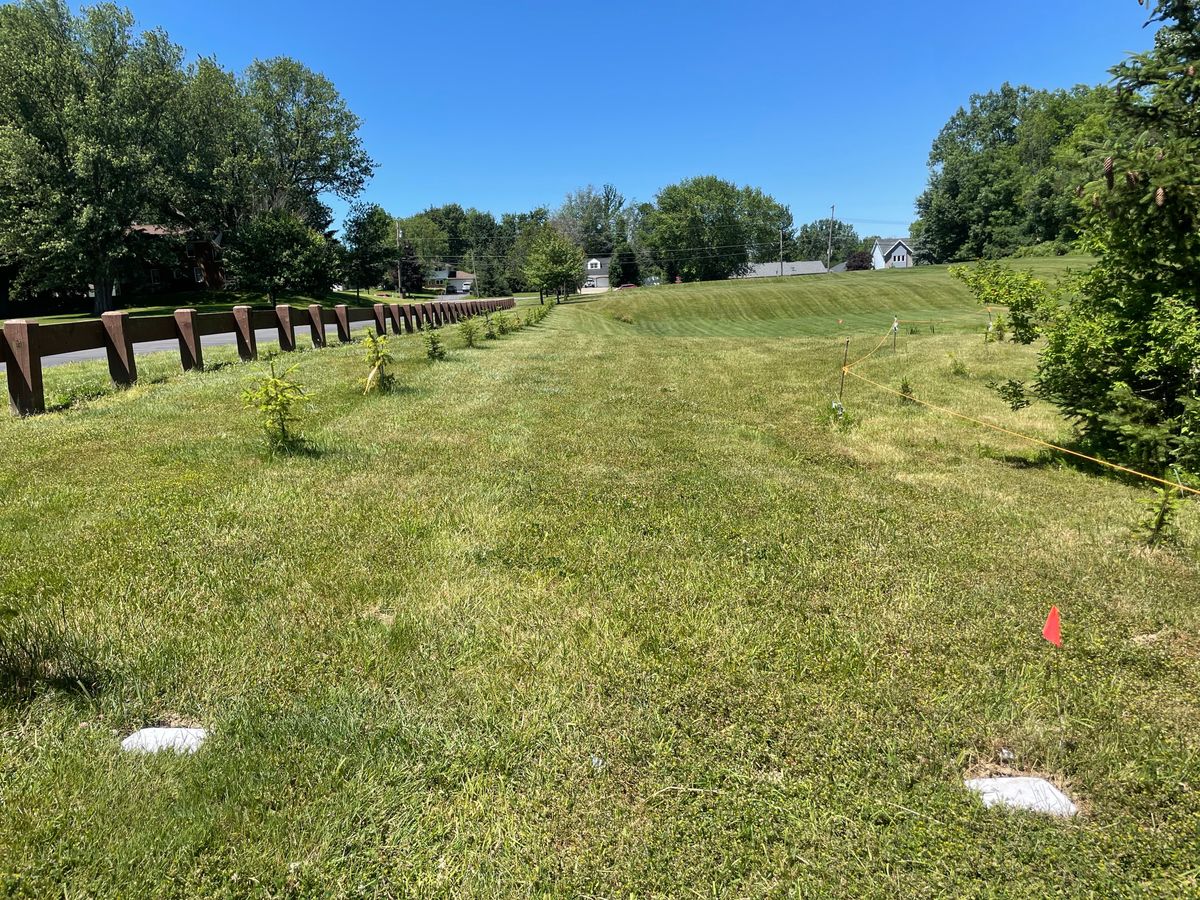 Hole 1 white tees