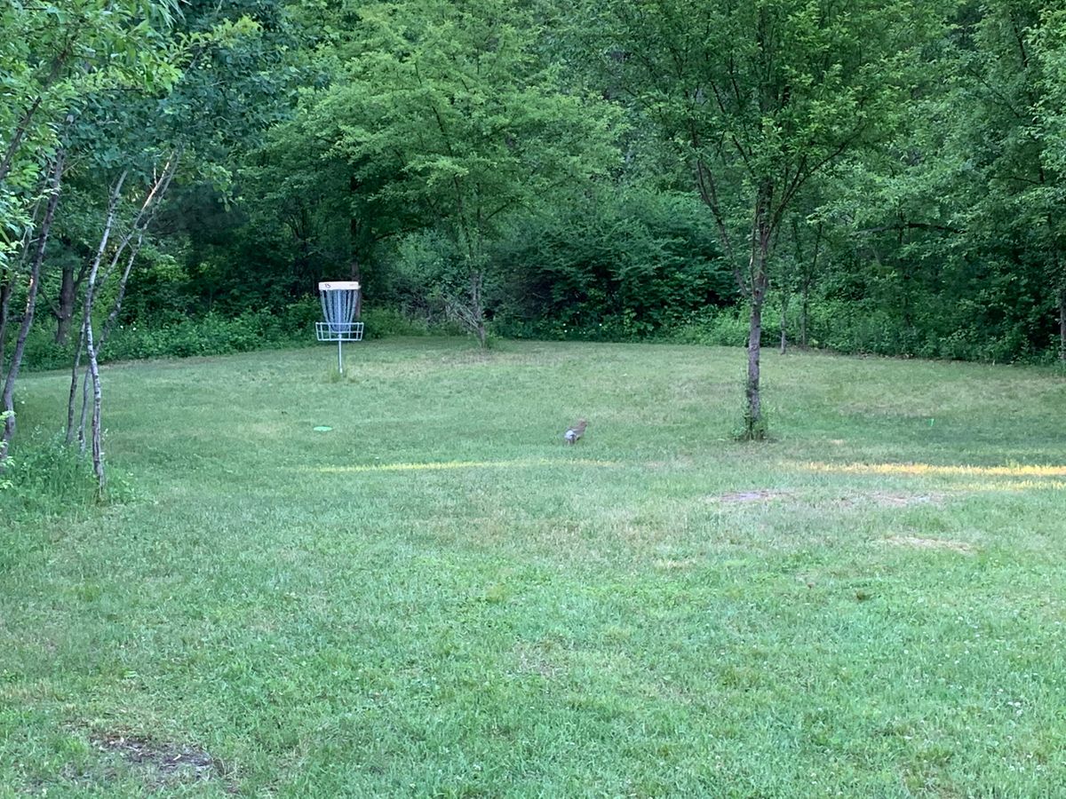 Bunny on 16