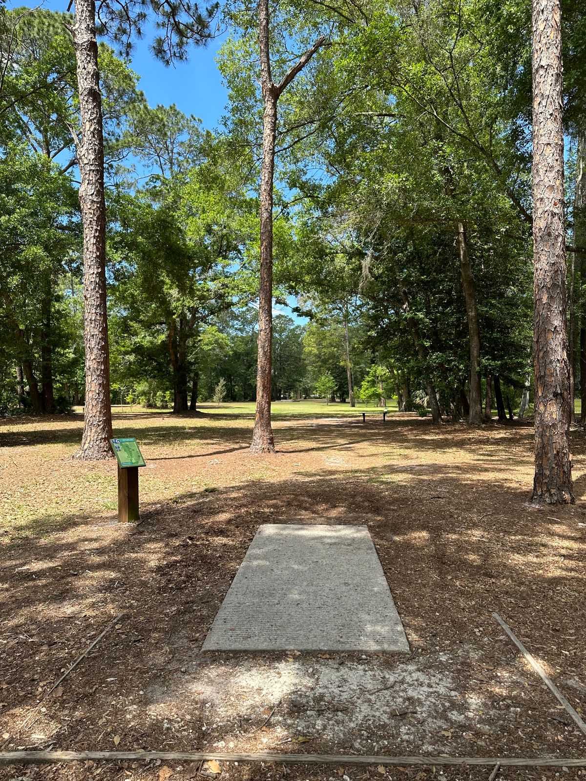 Hole 6 tee pads