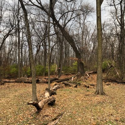 Hole 12