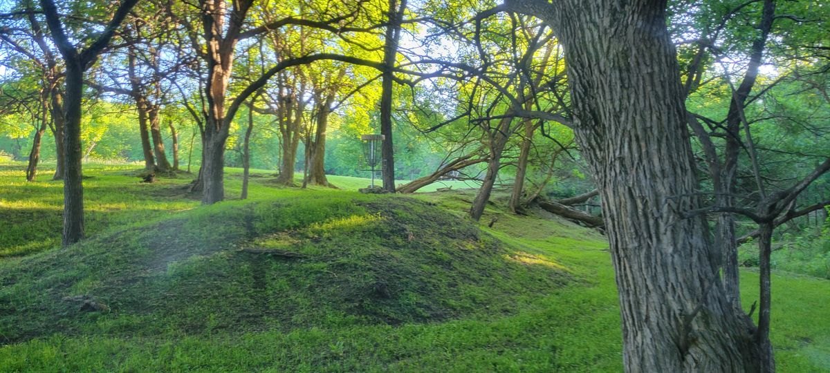 Hole 5 green