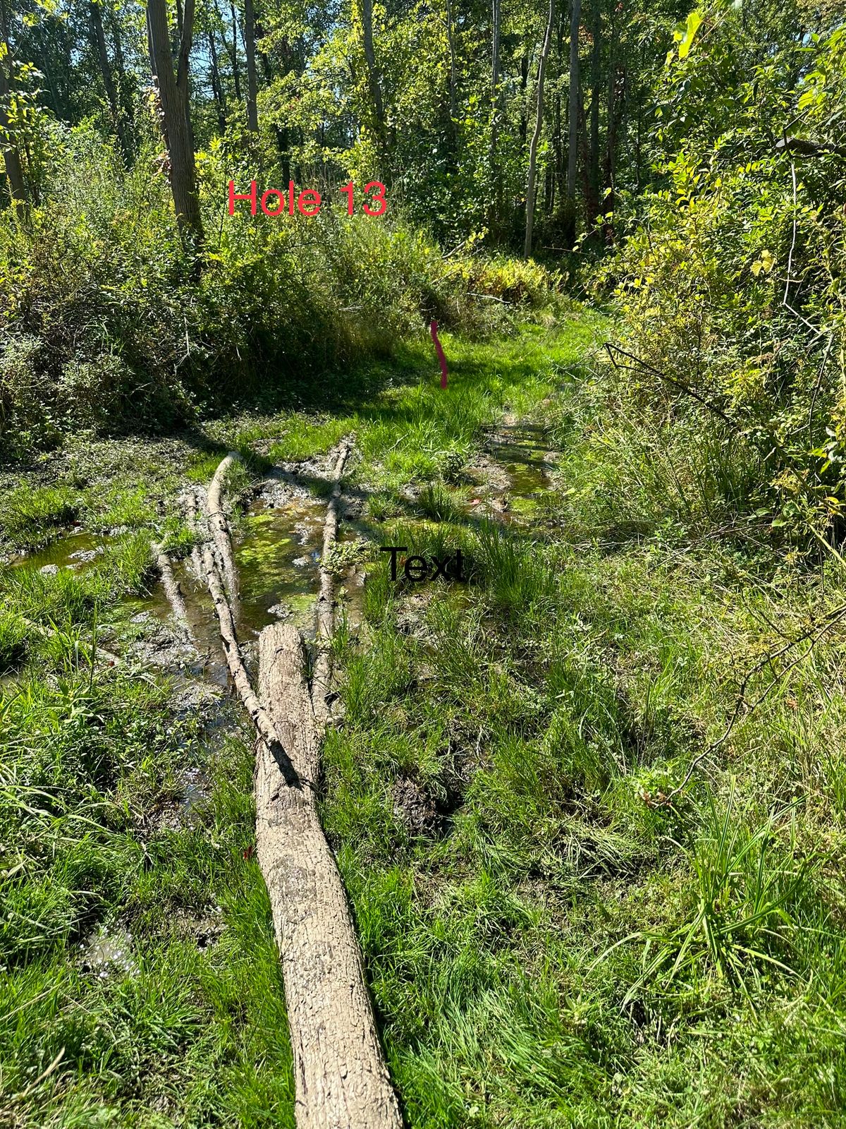 This is hole 13.
