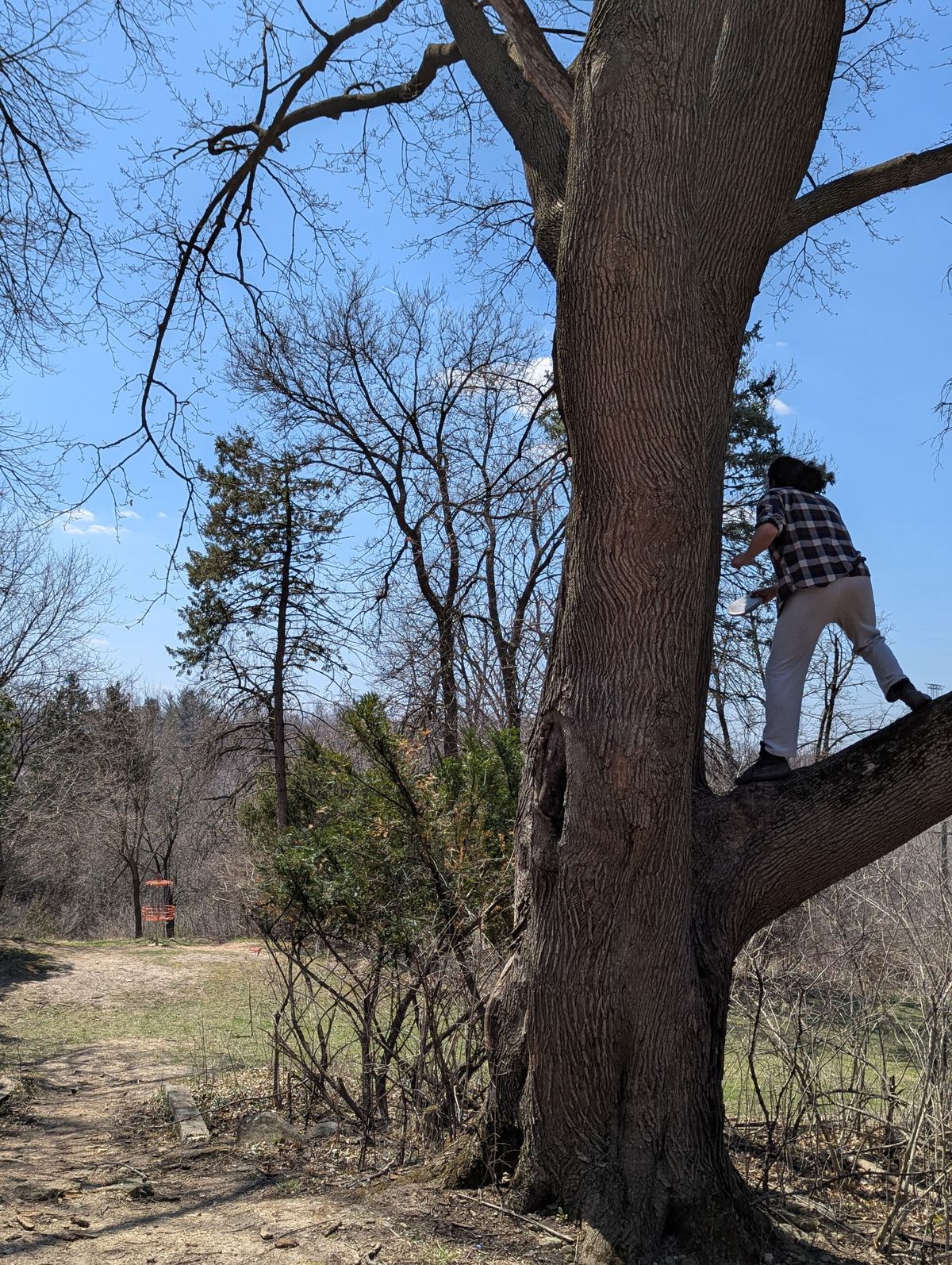 Hole 12
