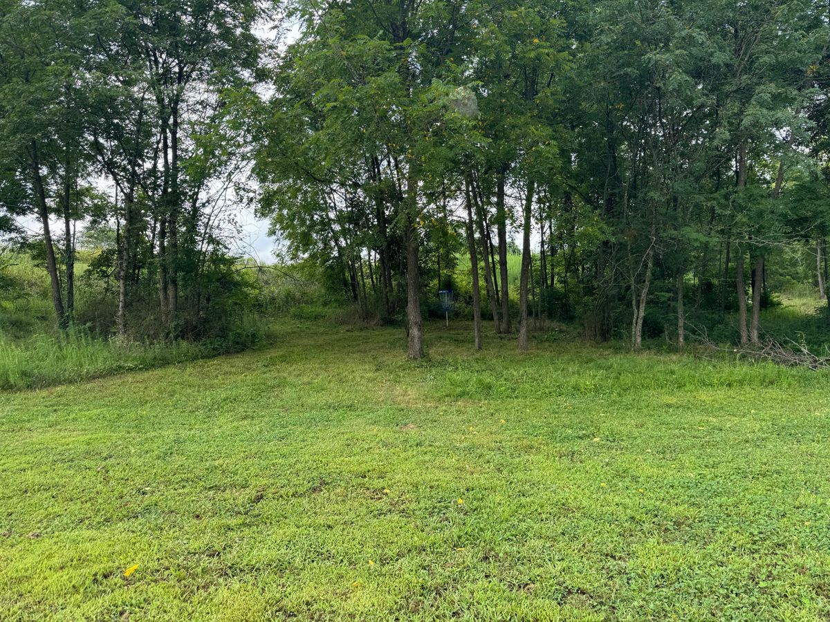 Hole 5