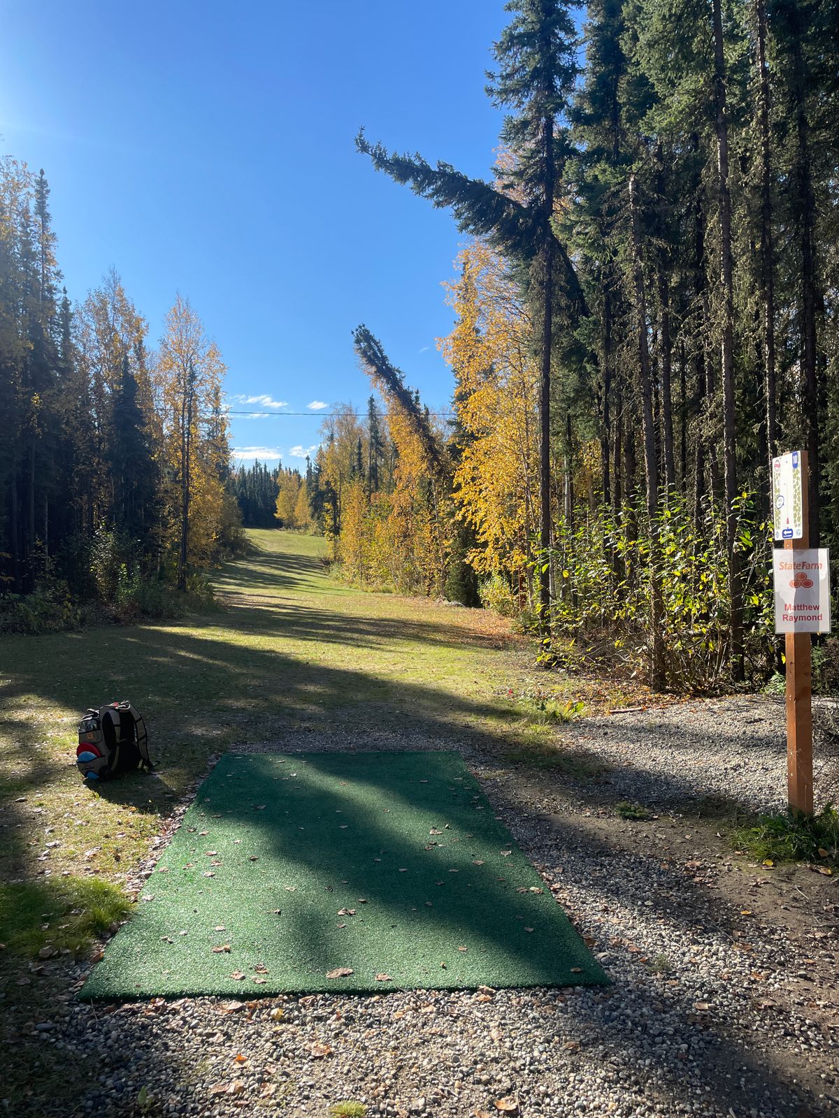 Hole 10 tee pad with bowing spruce to guide the way