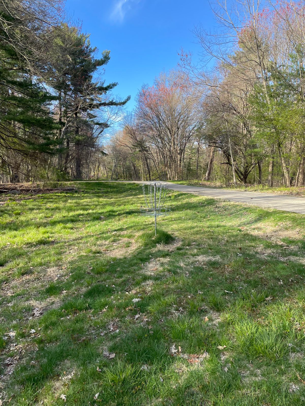 Basket of Hole 7