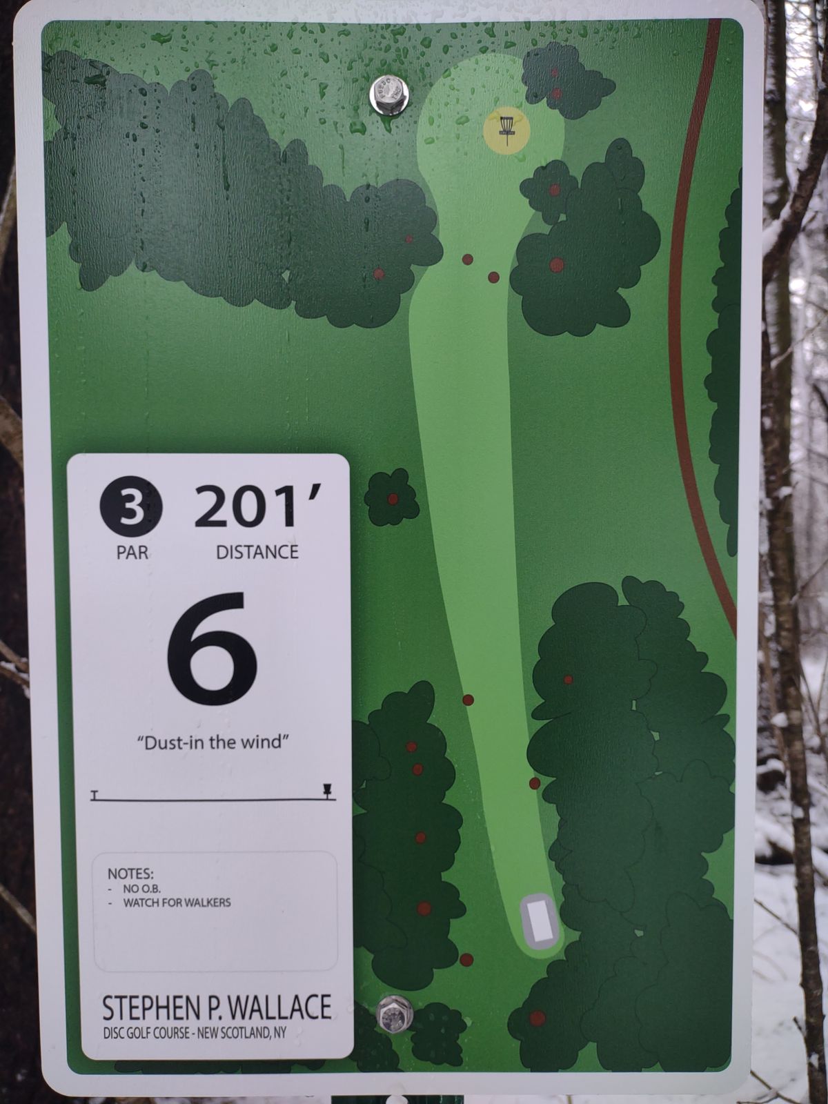 Hole 6 White