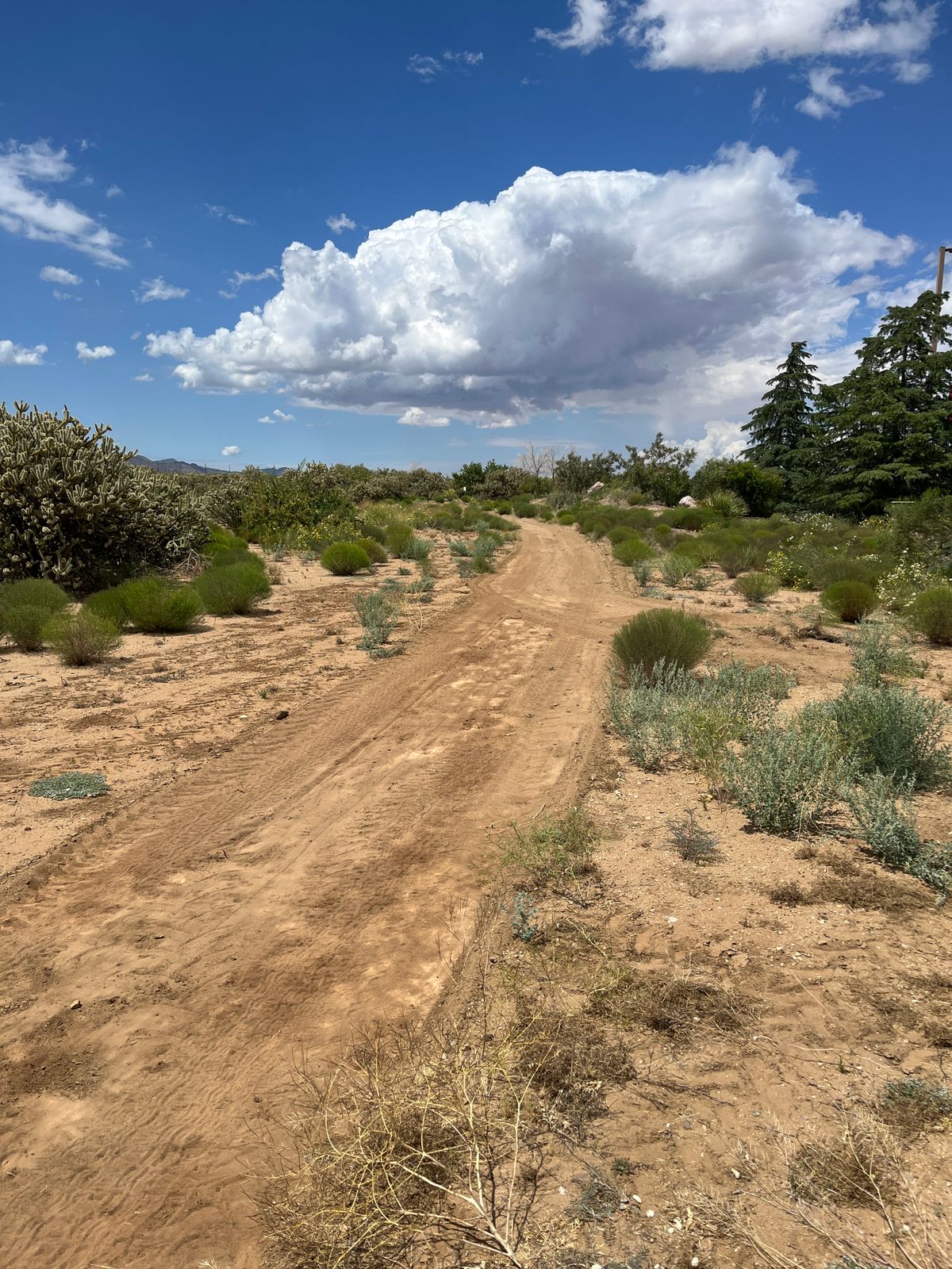 Maintenance is dragging a good path