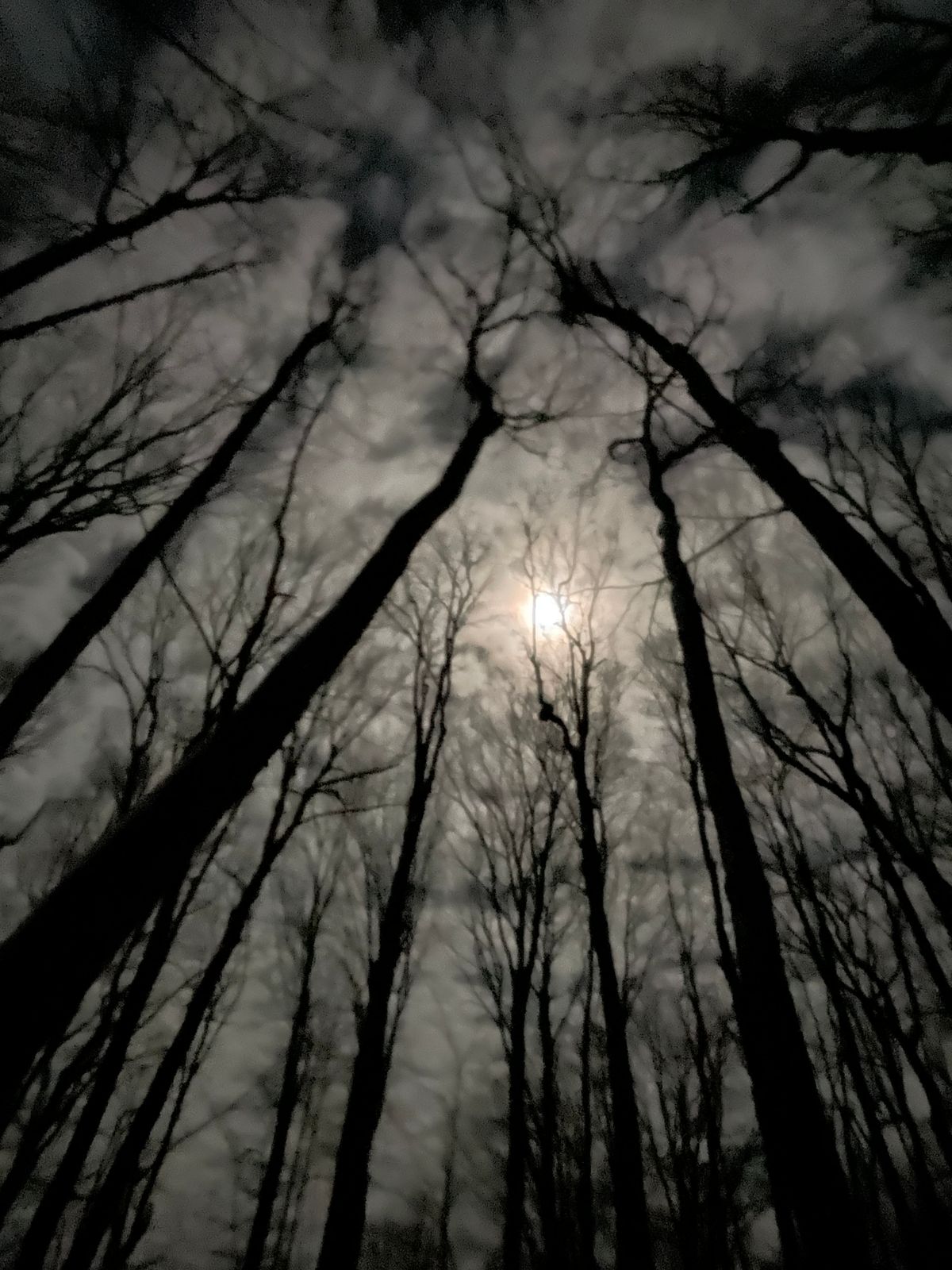 On the “field” side