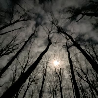 On the “field” side