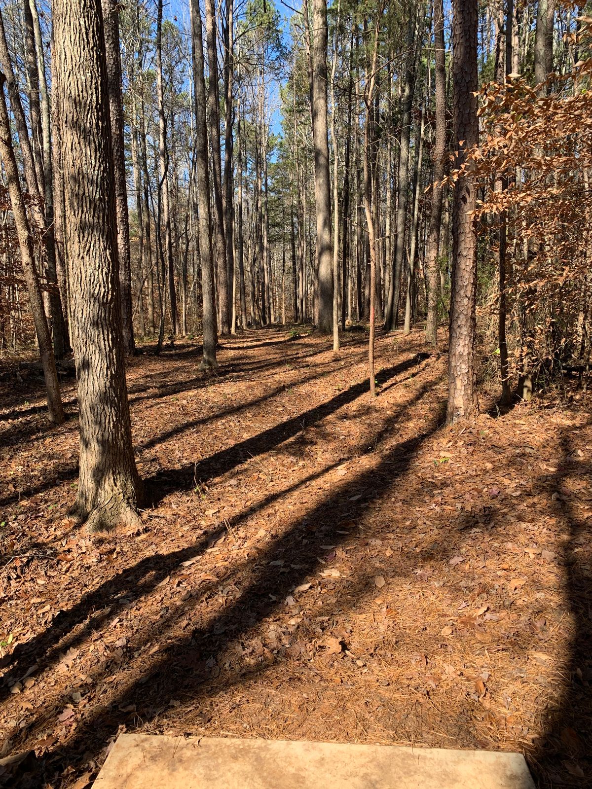 Hole 13