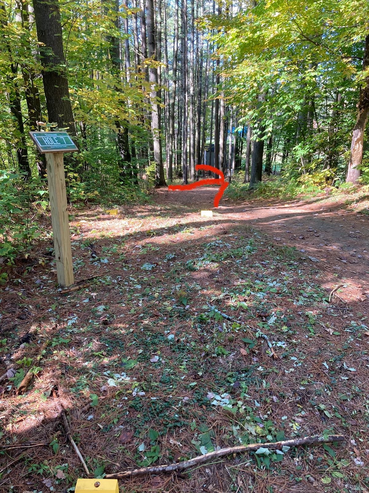 Hole 7 tee